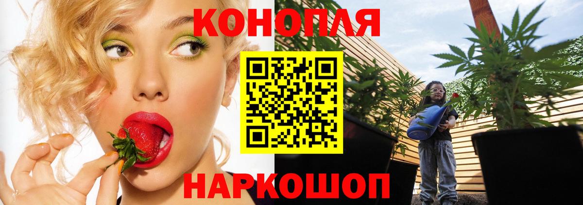 Видное  Канабис план  МАРИХУАНА планчик  Вход с VPN  Каннабис AK-47 